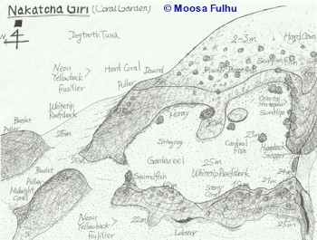 Nakatcha Giri